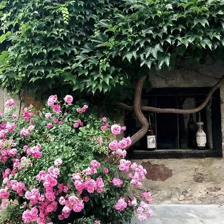 Studio Katharina - Studio Im Herzen Des Drautales *