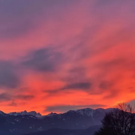 公寓 Studio Katharina - Studio Im Herzen Des Drautales Feistritz an der Drau