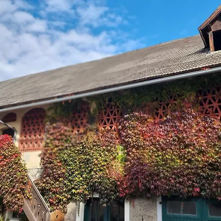 Studio Katharina - Studio Im Herzen Des Drautales * Feistritz an der Drau