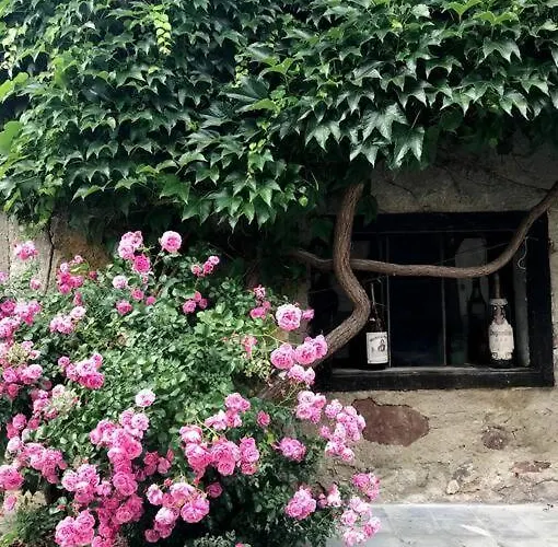 Studio Katharina - Studio Im Herzen Des Drautales *