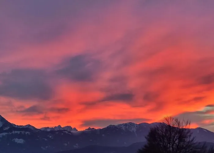 Apartment Studio Katharina - Studio Im Herzen Des Drautales Feistritz an der Drau