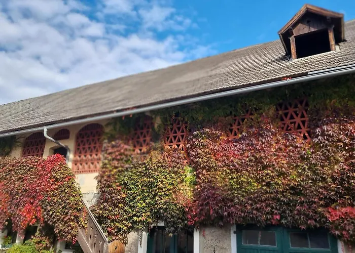 Studio Katharina - Studio Im Herzen Des Drautales * Feistritz an der Drau